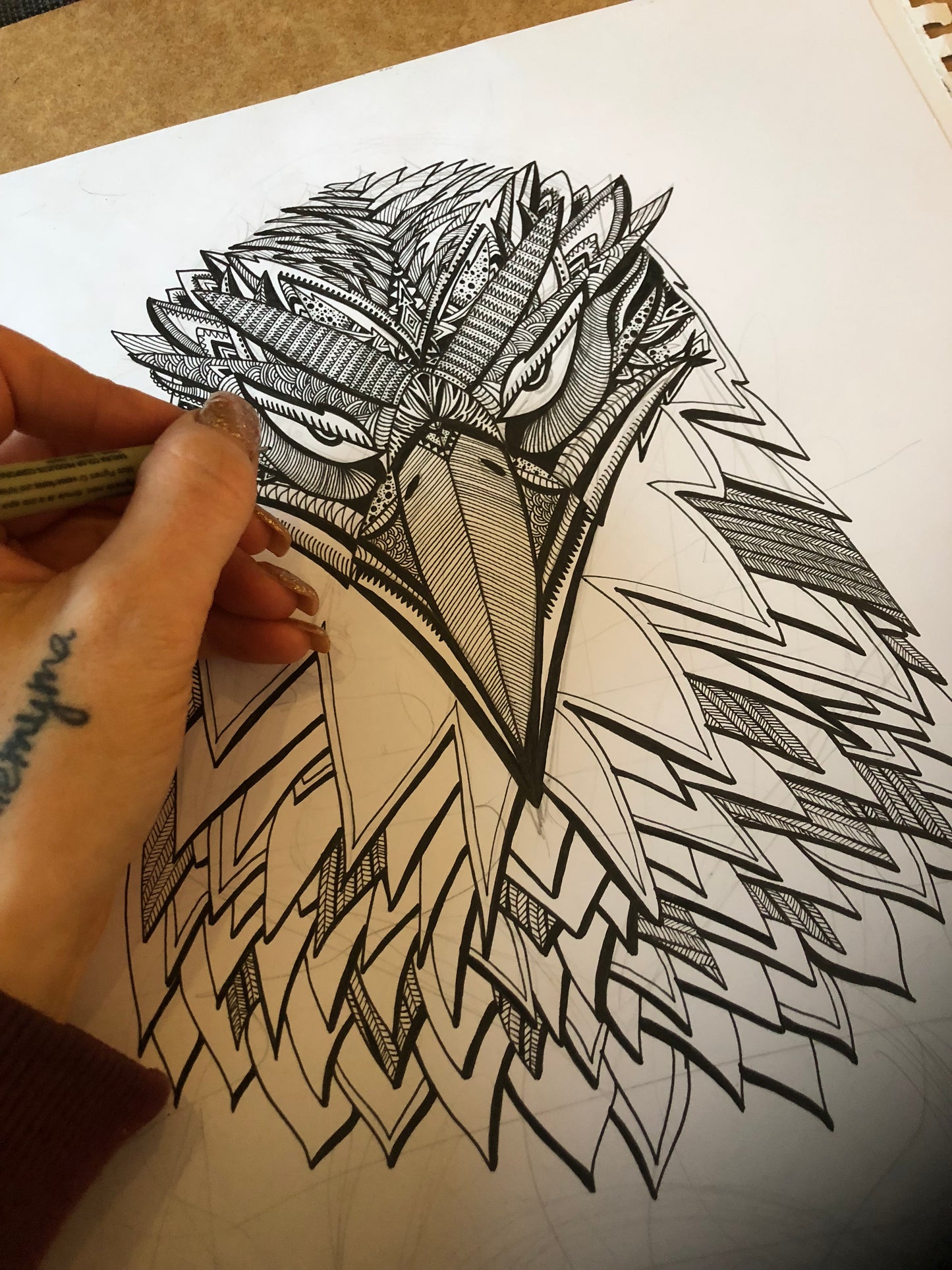 CATO el Águila Motivacional Lámina artística