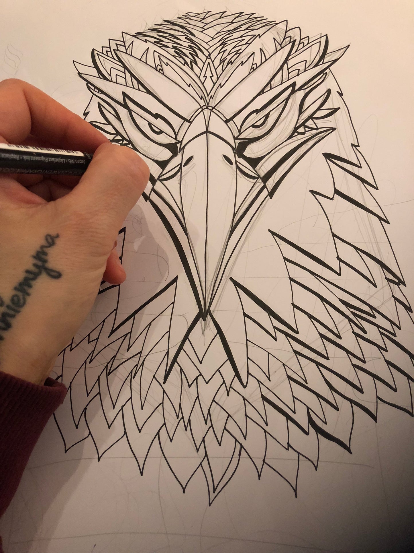 CATO el Águila Motivacional Lámina artística