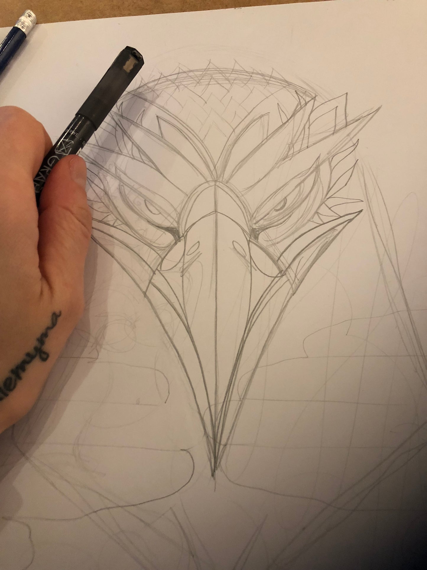 CATO el Águila Motivacional Lámina artística
